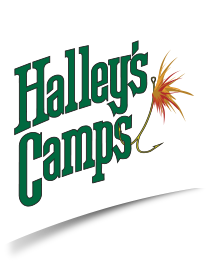 Halley's Camps