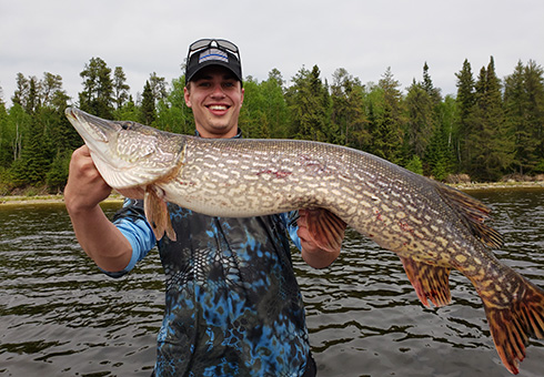 Young man with a huge northern pike.