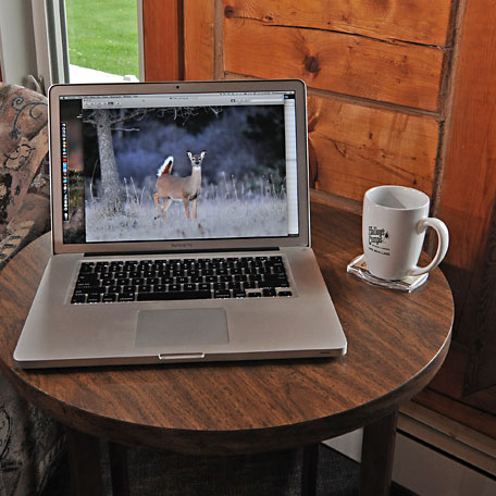 Laptop and coffee at the lodge.