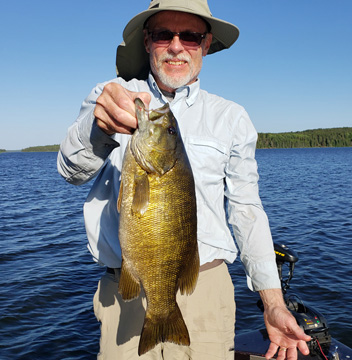 A beautiful smallmouth bass in the boat