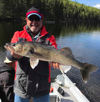 A beautiful late-season walleye in the boat.