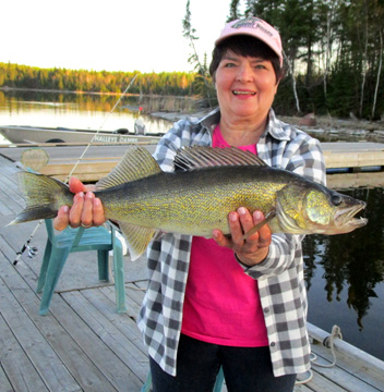 Catching trophy walleye right off the dock!