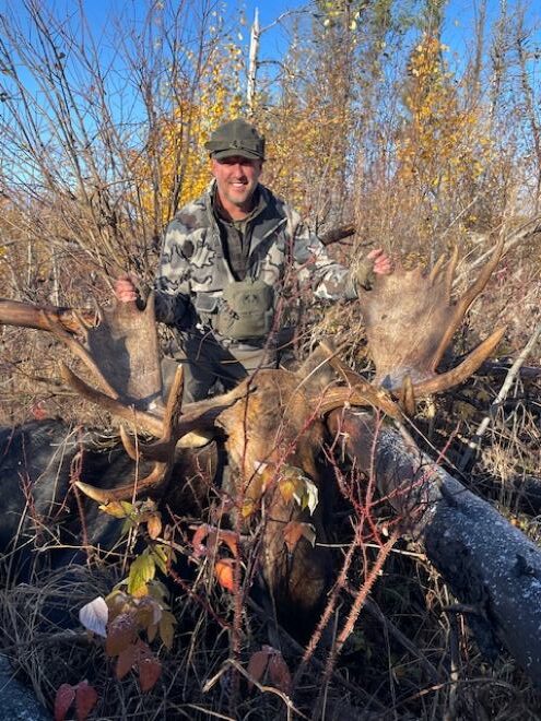 Man standing with moose that he shot on a hunting trip at Halley's Camps