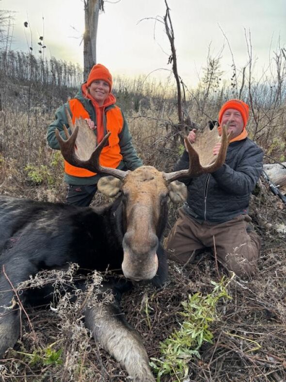 Man and woman on each side of a moose and they are holding onto the antlers and smiling