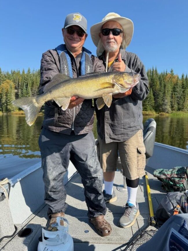 2 men in a boat holding a Canadian caught walleye at Halley's Camps