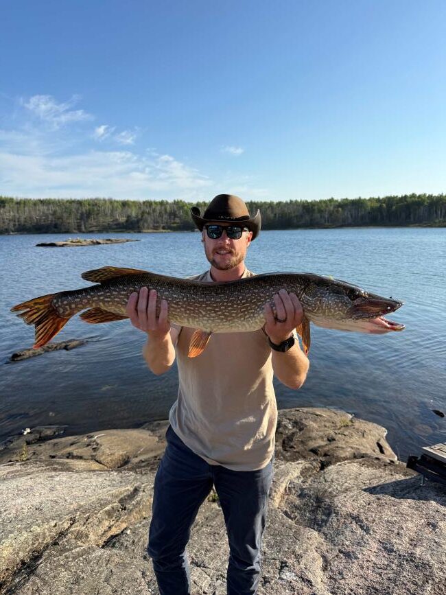 Fisherman holding a northern pike at the lake shore as he was casting out he caught this big fish